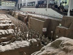 -秦始皇帝陵博物院(兵马俑)