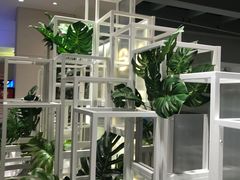 -叶子与茶(苏宁广场店)