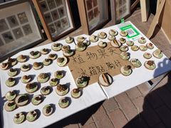 -大理床单厂艺术区