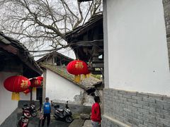 -后柳水乡