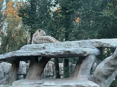 -北京野生动物园