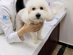 -美联众合动物医院·24h转诊中心