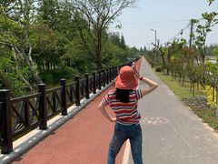 -上海长兴岛郊野公园