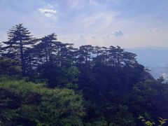 -九华山风景区