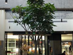 -大树餐厅(红旗街万达店)