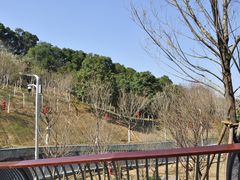 -飞凤山奥体公园