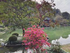 -云溪植物园