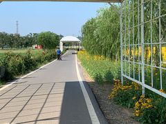 -大连铭湖国际观光牧场