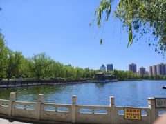 -莲花池公园
