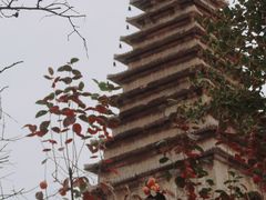 -北京石刻艺术博物馆(五塔寺)