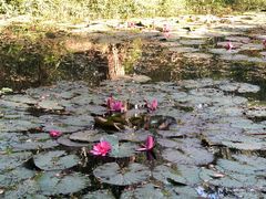 -华南国家植物园-售票处