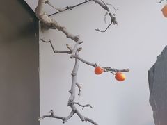 -杏花堂晋商私房菜(华熙五棵松店)