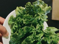 -九鼎轩脆毛肚火锅(南京东路店)