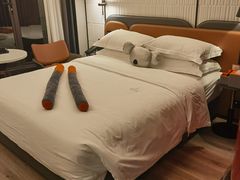 -朵兰达V酒店(长沙砂子塘地铁站店)