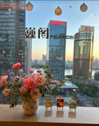 -巍阁高端月子会所