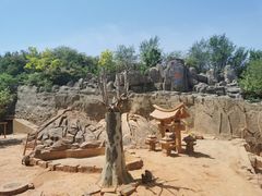 -石家庄市动物园