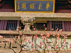 -慧因高丽寺