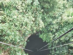 -天眼洞·花岭风景区