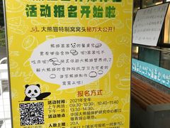 -都江堰中华大熊猫苑