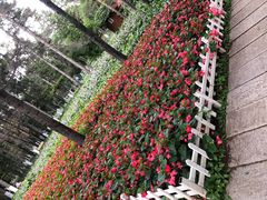 -黑龙江省森林植物园