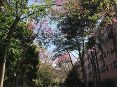 -广东外语外贸大学(白云山校区)