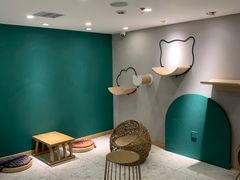-飞行喵MR PILOT|猫舍·猫咖(静安大融城店)