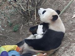 -大连森林动物园