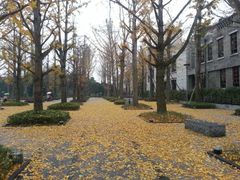 -百林公园-两江幸福广场