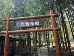 -溱湖国家湿地公园