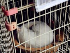 -熊猫邮局(少城店)