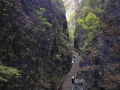 -野三坡百里峡景区