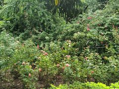 -人民公园(罗湖区)