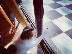 -251#coffee roasters(沿河东路店)