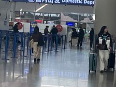 -上海浦东国际机场-T2航站楼