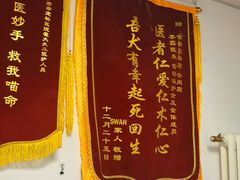 -乖乖宠物医院·猫科·骨科·24小时(云岗分院)