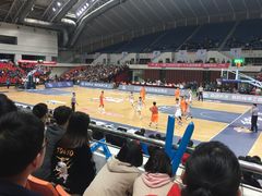 -华中科技大学光谷体育馆