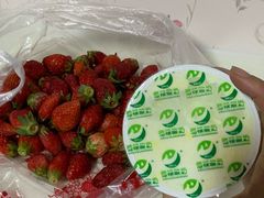 -德禄酸奶(莫家街店)