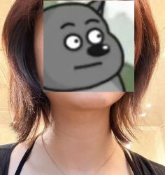 -Zip概念美发