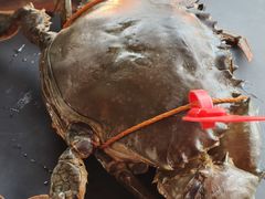 -Ministry of Crab•MOC(交子大道店)