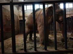 -石家庄市动物园