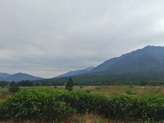 -罗坑大草原