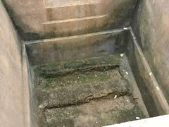 -马王堆汉墓遗址