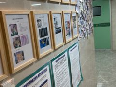 -半岛宠物医院24小时·内窥镜·牙科·碎石中心(府城大道店)