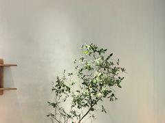 -喜茶(北京财富购物中心店)