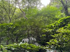 -句容茅山景区