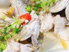 -有腥气私房菜·寻味顺德