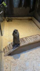 -酷嗒动物文化乐园(cutezoo西溪乐天城店)