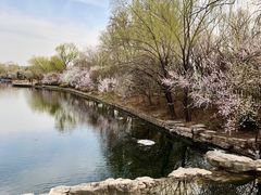 -国家植物园南园