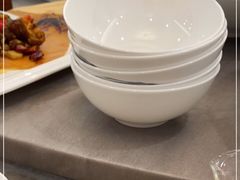 -丁老爷子苏香圆
