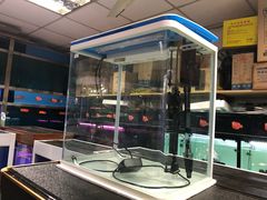 -本溪路花鸟市场(江浦路1709弄小区店)